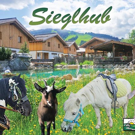 Sieglhub Chalets - Appartements - Hotel Flachau Dış mekan fotoğraf