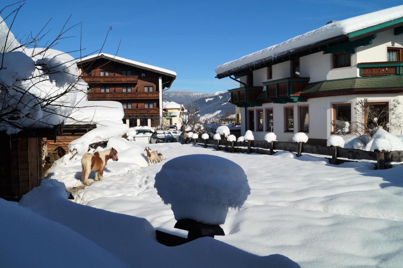 Sieglhub Chalets - Appartements - Hotel Flachau Dış mekan fotoğraf