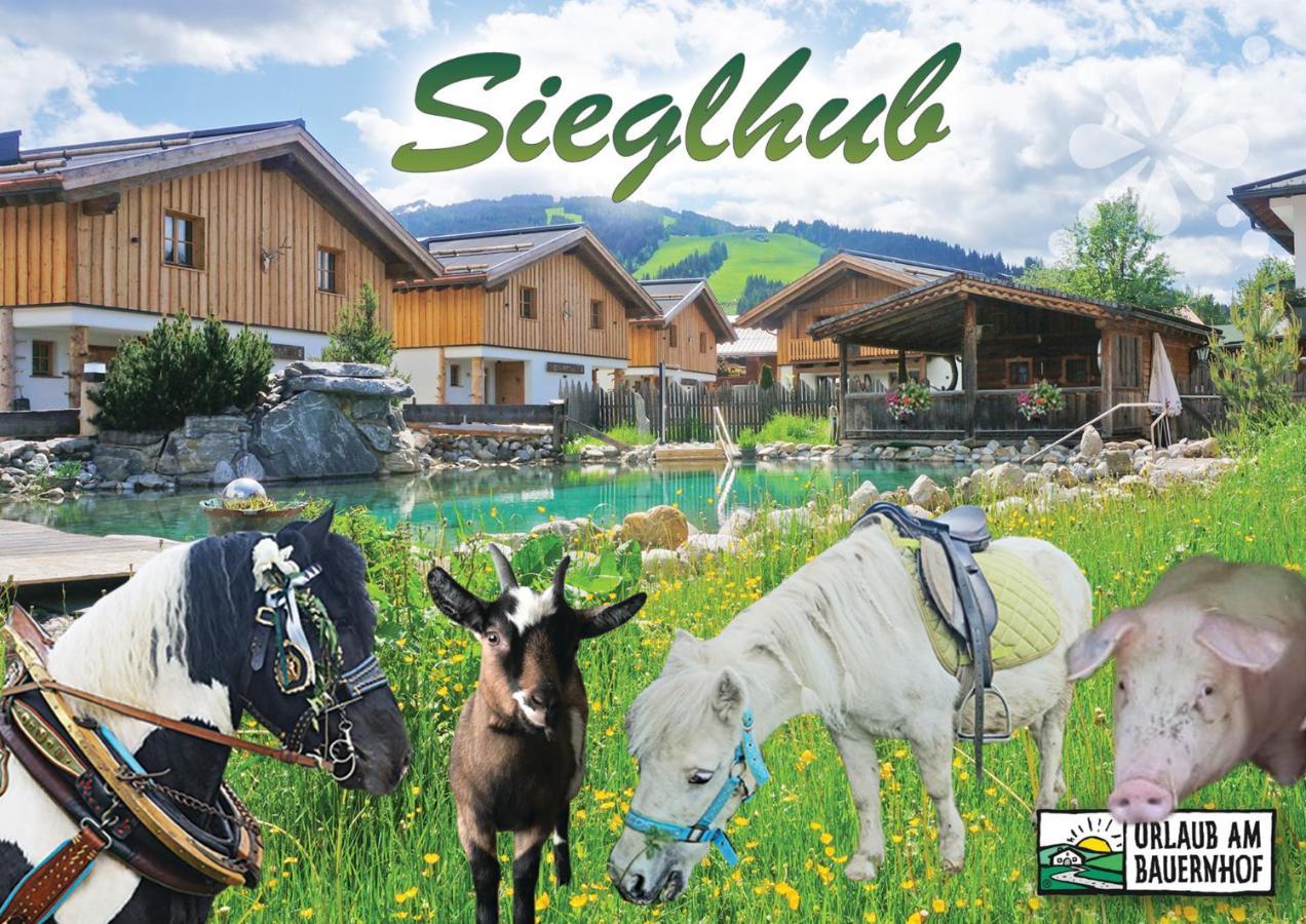 Sieglhub Chalets - Appartements - Hotel Flachau Dış mekan fotoğraf